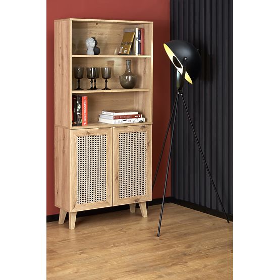 BORNEO REG-1 regál dub artisan/černý 