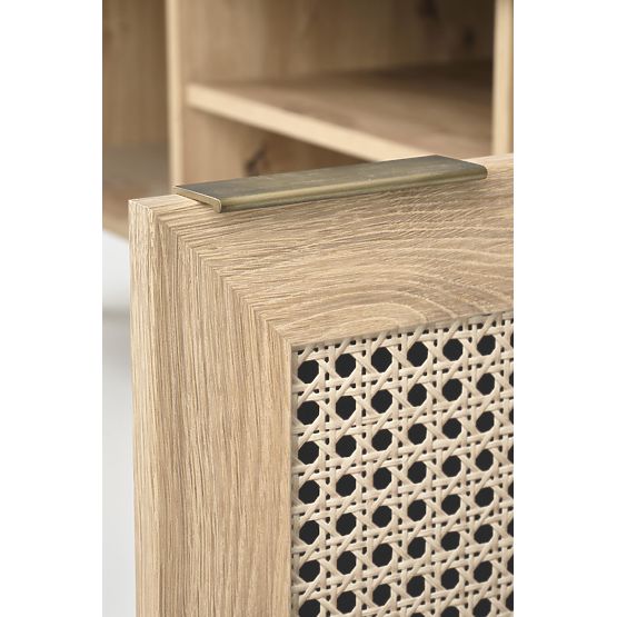 BORNEO RTV-1 TV stolek dub artisan/černý 