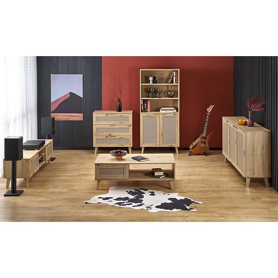 BORNEO RTV-1 TV stolek dub artisan/černý 