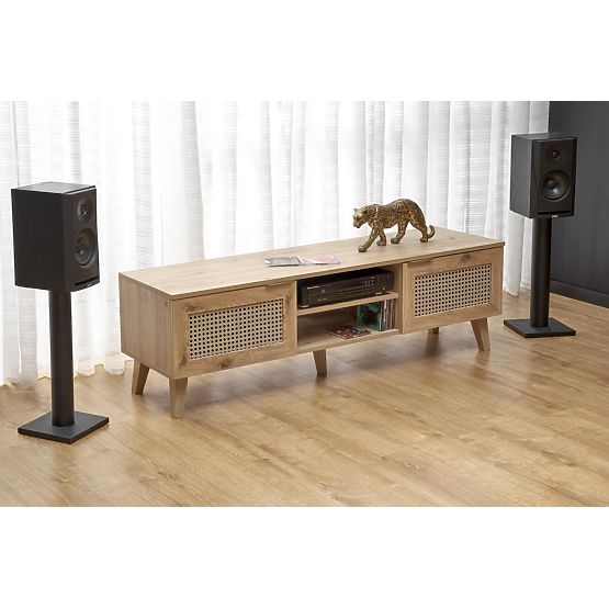 BORNEO RTV-1 TV stolek dub artisan/černý 