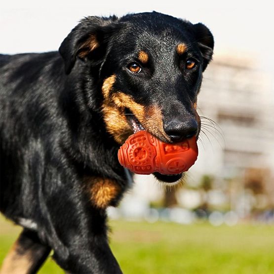 Červená žvýkací míč pro psy PJ-046