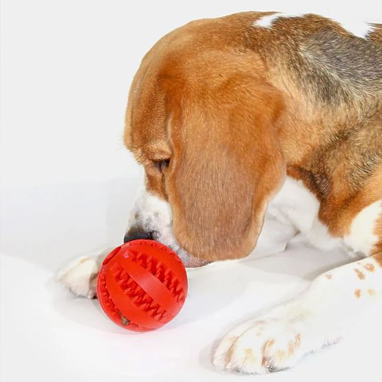 Červená žvýkací míč pro psy PJ-090