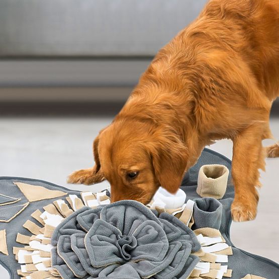 ČICHACÍ PODLOŽKA PRO PSA PJ-028