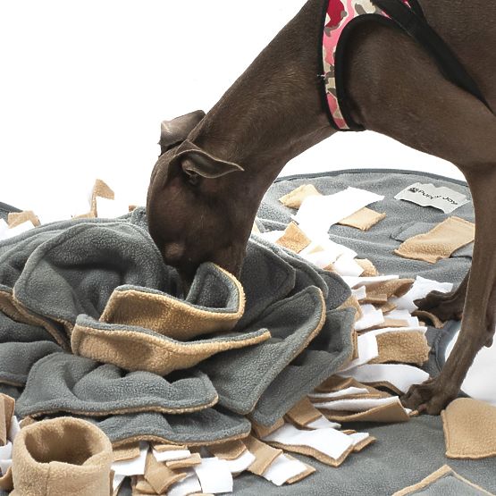 ČICHACÍ PODLOŽKA PRO PSA PJ-028