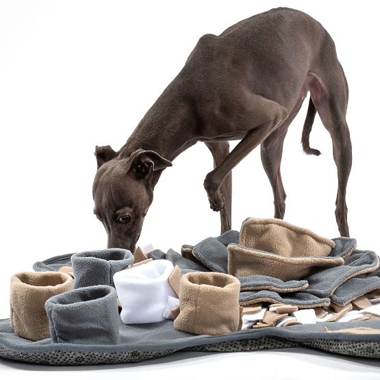 ČICHACÍ PODLOŽKA PRO PSA PJ-028