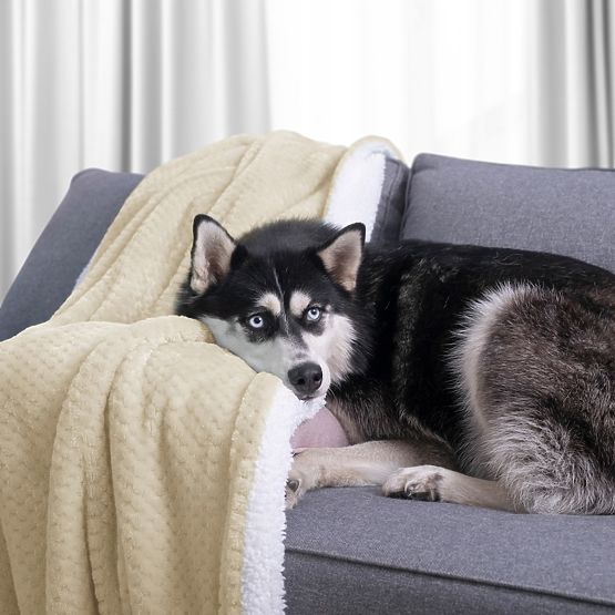 Deka SHLEEPY barva béžová lisovaná žakárově klasický styl 130x180