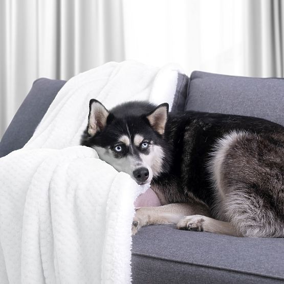 Deka SHLEEPY barva bílá žakárově ražená klasický styl 170x210