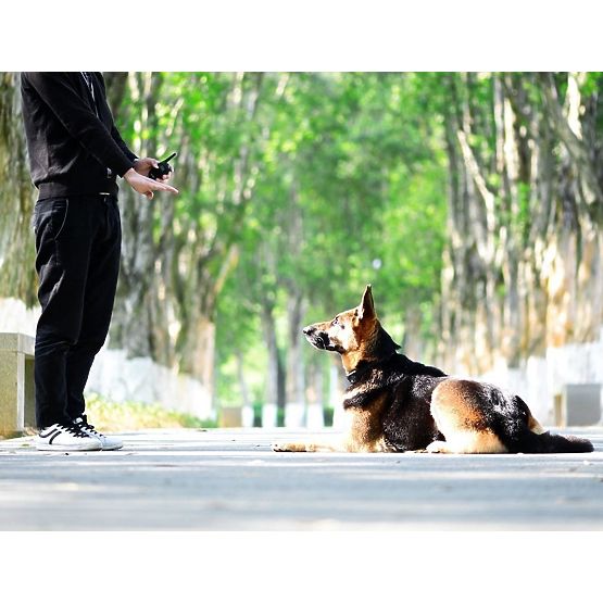 ELEKTRICKÝ VÝCVIKOVÝ OBOJEK PRO PSA pj-098