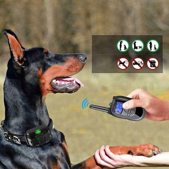 ELEKTRICKÝ VÝCVIKOVÝ OBOJEK PRO PSA pj-098