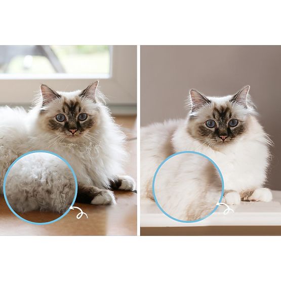 Hřeben - profesionální kartáč proti zacuchání PJ-040