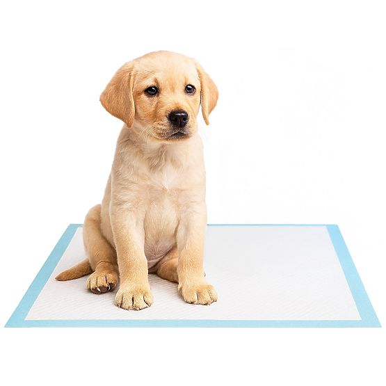 Hygienické podložky pro zvířata BARRY 50 ks