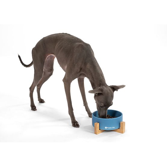 Keramická miska pro psa nebo kočku modrá PJ-033