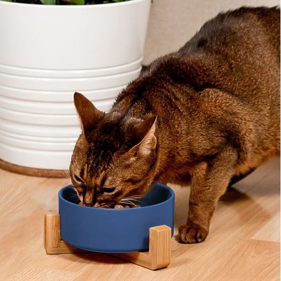 Keramická miska pro psa nebo kočku modrá PJ-033