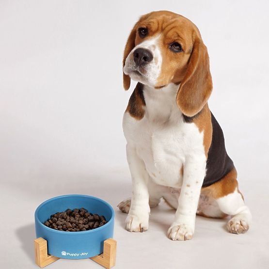 Keramická miska pro psa nebo kočku modrá PJ-033