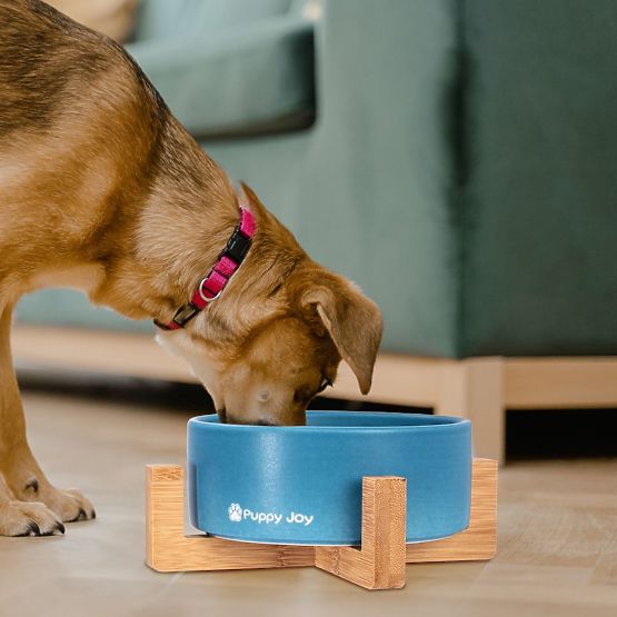 Keramická miska pro psa nebo kočku modrá PJ-033