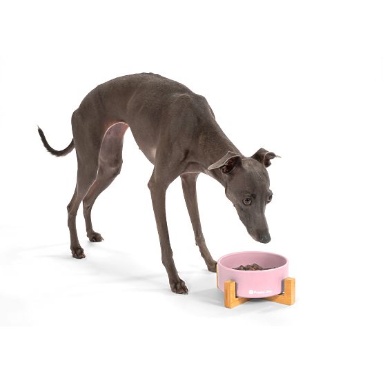 Keramická miska pro psa nebo kočku růžová PJ-032