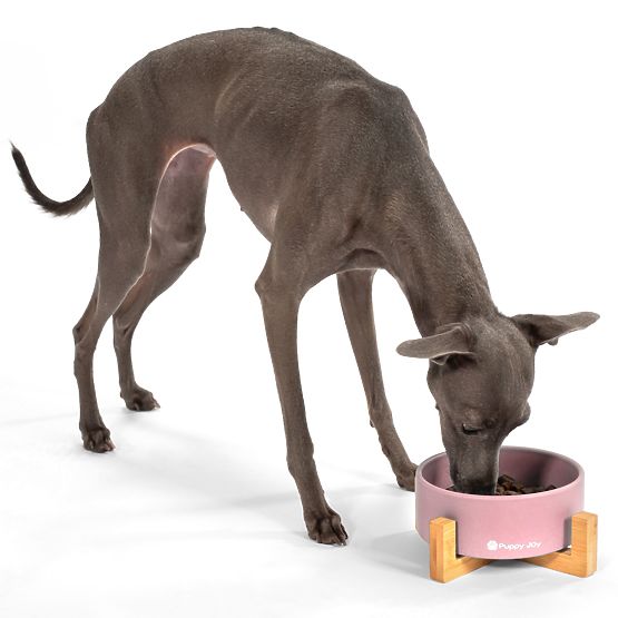 Keramická miska pro psa nebo kočku růžová PJ-032