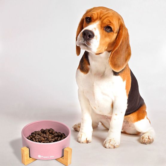 Keramická miska pro psa nebo kočku růžová PJ-032