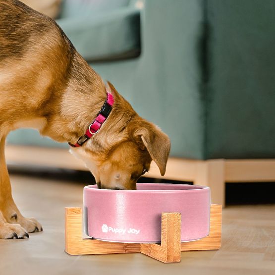 Keramická miska pro psa nebo kočku růžová PJ-032