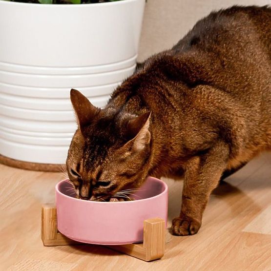 Keramická miska pro psa nebo kočku růžová PJ-032