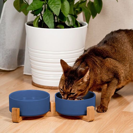 Keramické Misky Pro Psa nebo Kočku Modré PJ-080