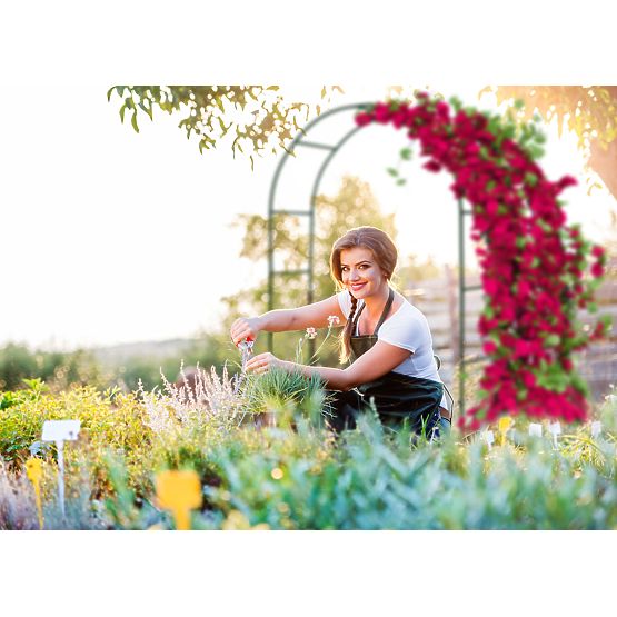 Kovová pergola oblouk černá 240 cm