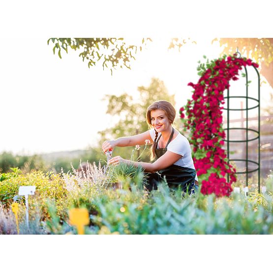 Kovová pergola sloupek tmavě zelená 190 cm