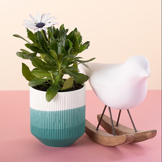 Květináč FINO barva pudrově růžová moderní styl do interiéru ameliahome
