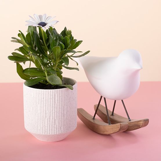 Květináč PASO barva pudrová růžová moderní styl do interiéru ameliahome