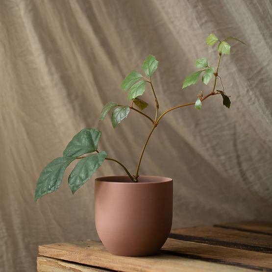 Květináč SHIRE barva pudrová růžová moderní styl do interiéru ameliahome