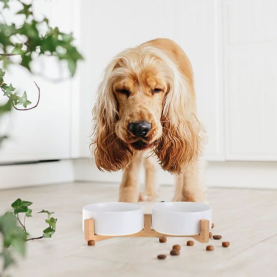 MISKA NA KRMIVO A VODU PRO ZVÍŘATA BÍLÁ 331579