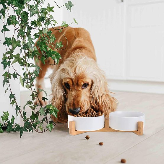 MISKA NA KRMIVO A VODU PRO ZVÍŘATA BÍLÁ 331579