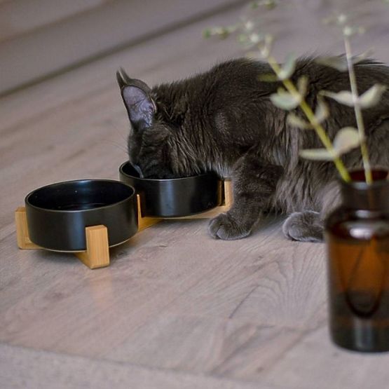 MISKA NA KRMIVO A VODU PRO ZVÍŘATA BÍLÁ 331579