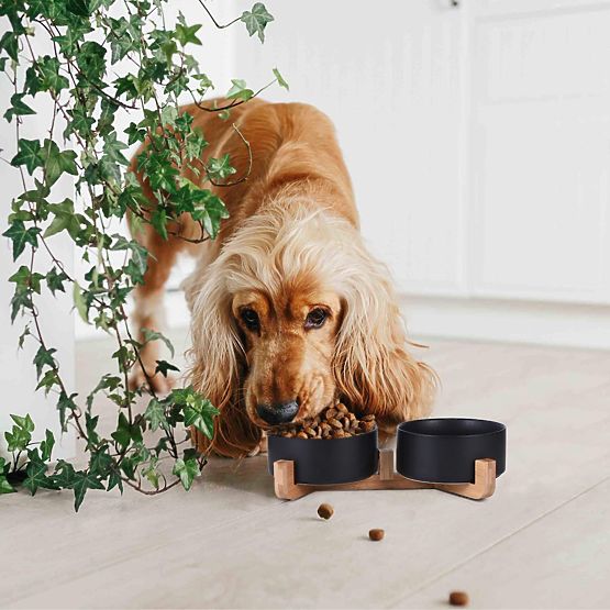 MISKA NA KRMIVO A VODU PRO ZVÍŘATA ČERNÁ 331579