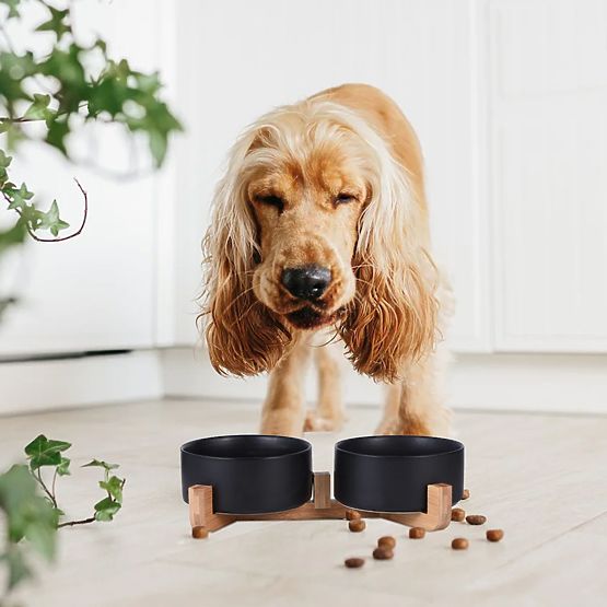 MISKA NA KRMIVO A VODU PRO ZVÍŘATA ČERNÁ 331579