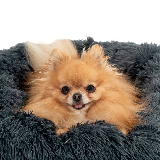 PELÍŠEK PRO PSA KOČKU PJ-003 TMAVĚ ŠEDÝ M