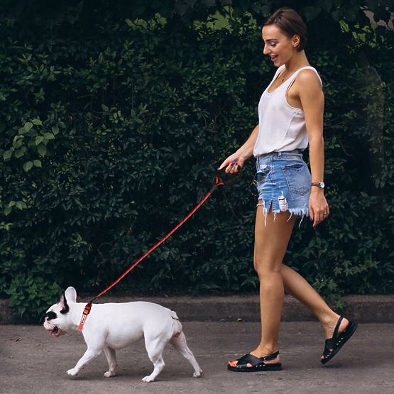 Reflexní vodítko a obojek pro psa PJ-035 červený