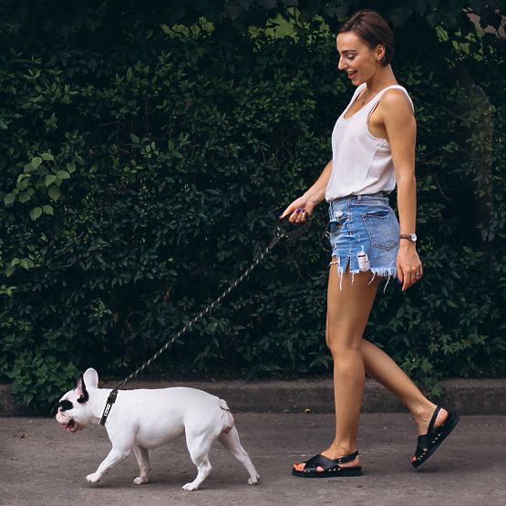 Reflexní vodítko a obojek pro psa PJ-091 černá