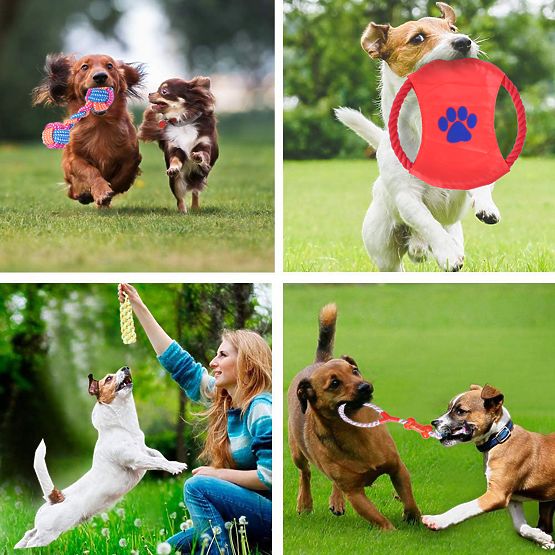 Sada 10 hraček pro psy DYLAN přetahovadla