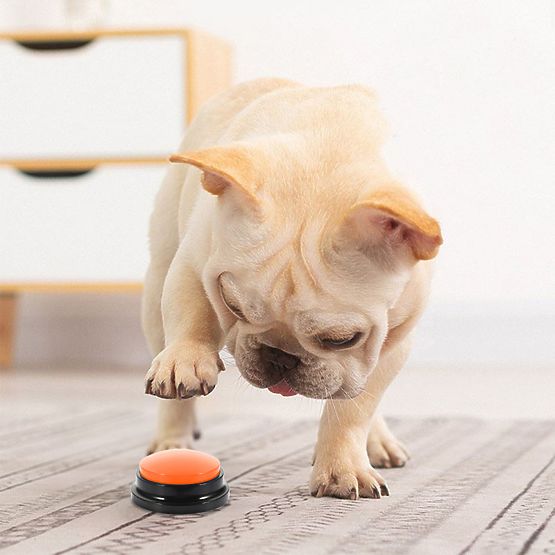 Sada 4 komunikačních tlačítek pro psa TALKER