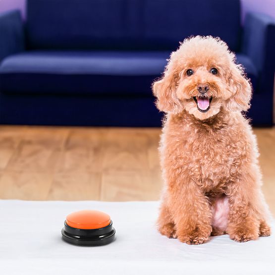 Sada 4 komunikačních tlačítek pro psa TALKER