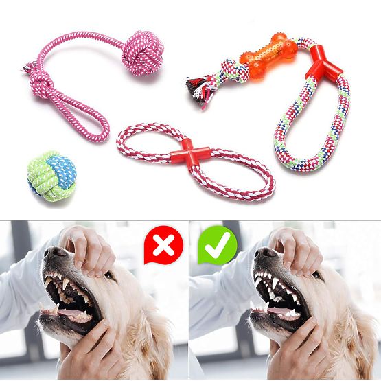 Sada přetahovacích hraček pro psy SPANKY 5 kusů