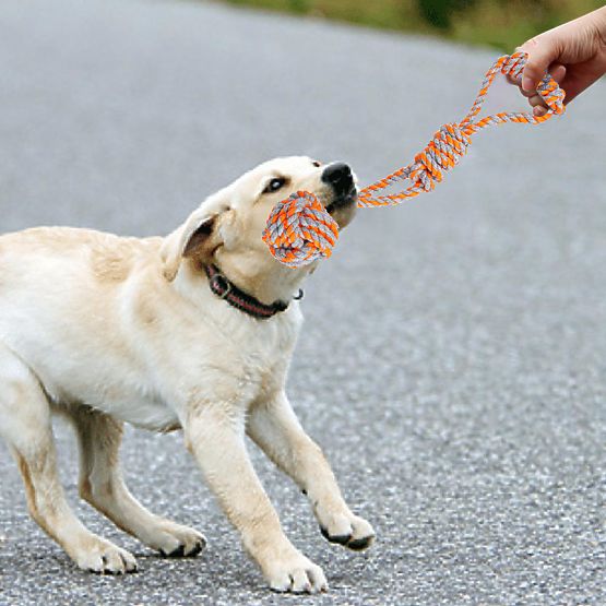 Sada přetahovacích hraček pro psy SPANKY 5 kusů