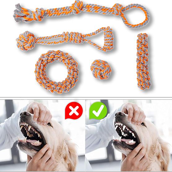 Sada přetahovacích hraček pro psy SPANKY 5 kusů