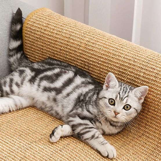 ŠKRABADLO PODLOŽKA PRO KOČKU 60x40cm 332494