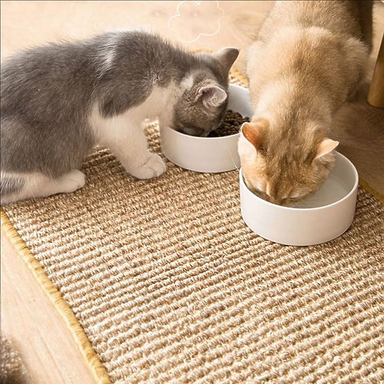 ŠKRABADLO PODLOŽKA PRO KOČKU 60x40cm 332494