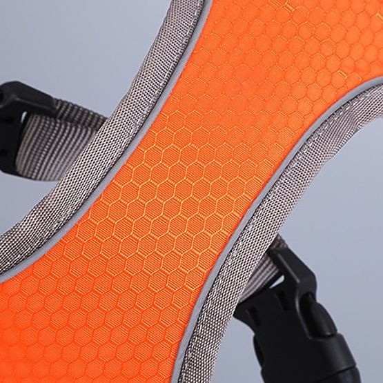 Tréninkové postroje pro psy ASTRO oranžové velikost M