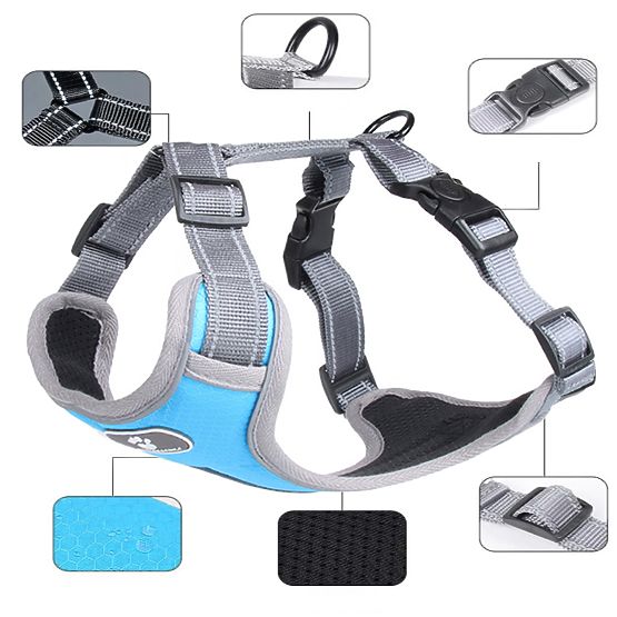 Tréninkový postroj pro psa ASTRO modrý velikost XL