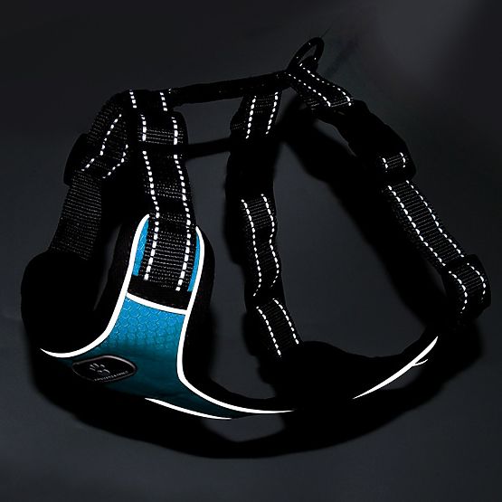 Tréninkový postroj pro psy ASTRO modrý velikost L