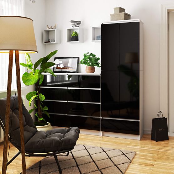 UZAVŘENÝ REGÁL R60 2D 1SZ CLP PK BÍLÝ / ČERNÝ LESK